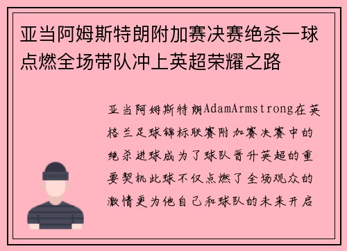 亚当阿姆斯特朗附加赛决赛绝杀一球点燃全场带队冲上英超荣耀之路